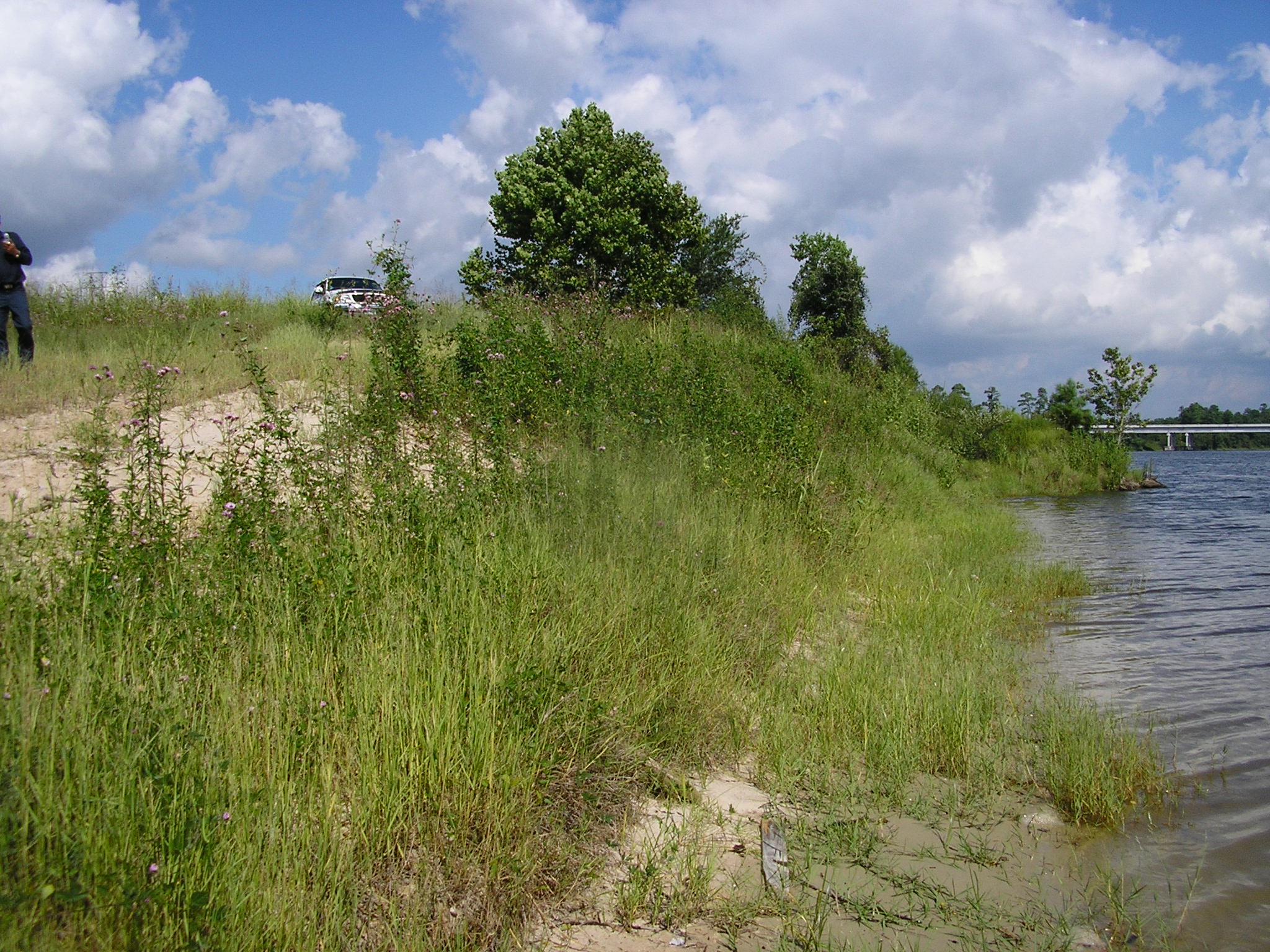 112 +/ Acres on San Jacinto River